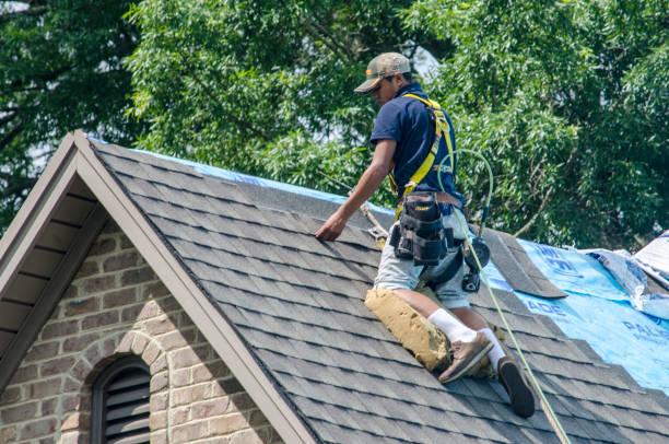 Best Roof Gutter Cleaning  in Schererville, IN